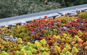 the cost of Dennystown green roof installation