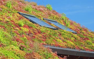 Dennystown living roof systems