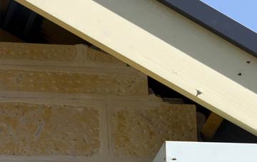 soffit repair Dennystown