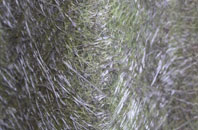 Dennystown fibreglass roof work